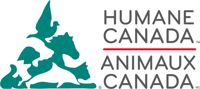 Animaux Canada logo