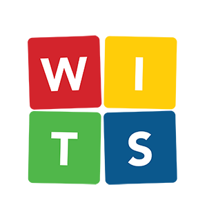 WITS Programs Foundation logo