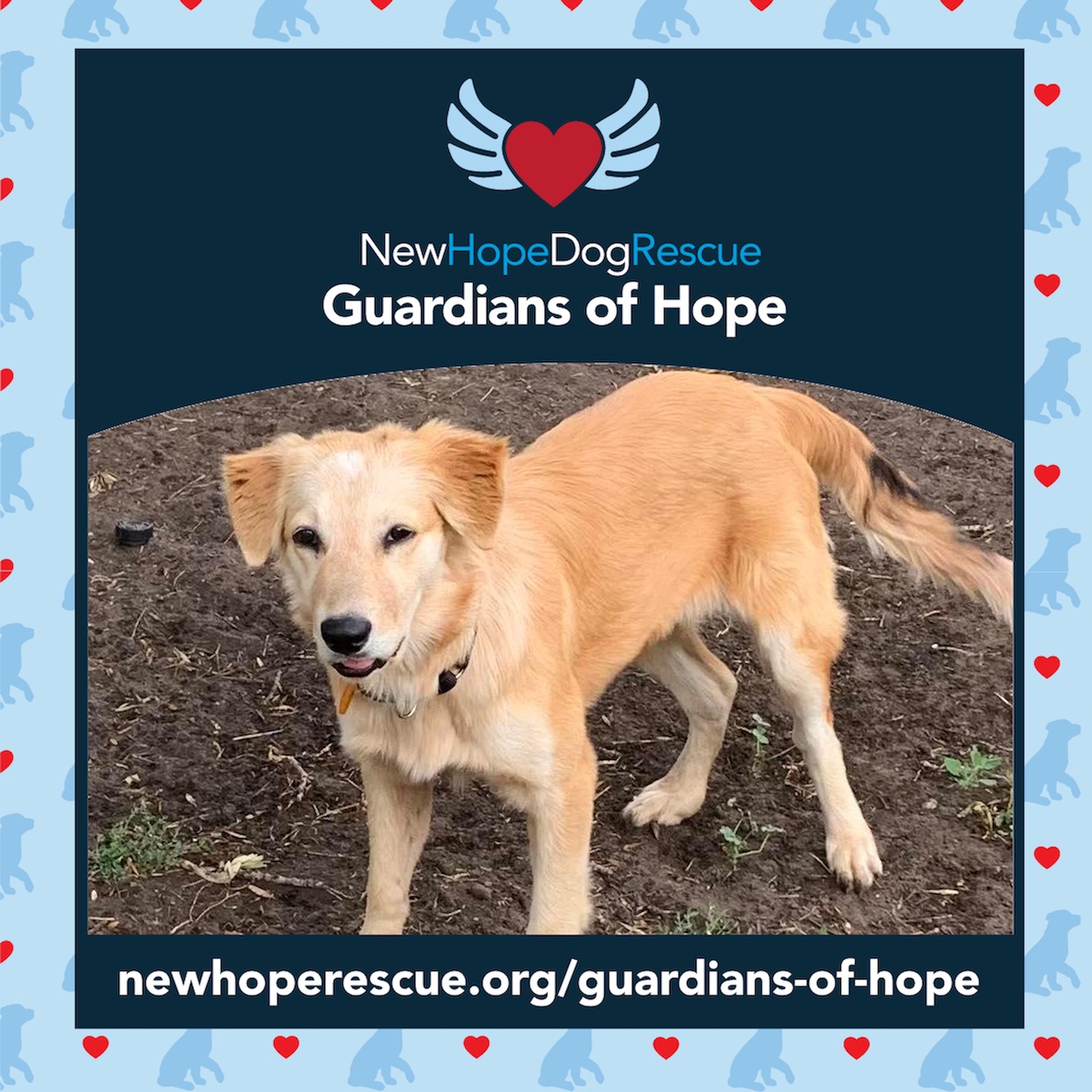 New Hope Dog Rescue Inc. logo