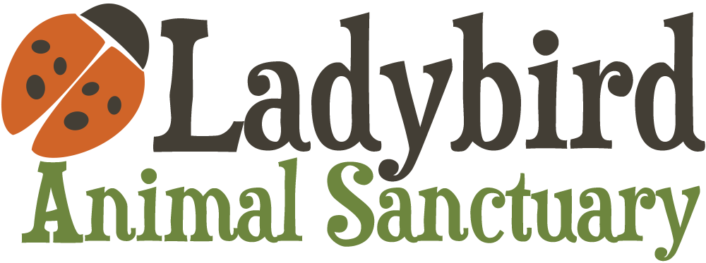 Ladybird Animal Sanctuary logo