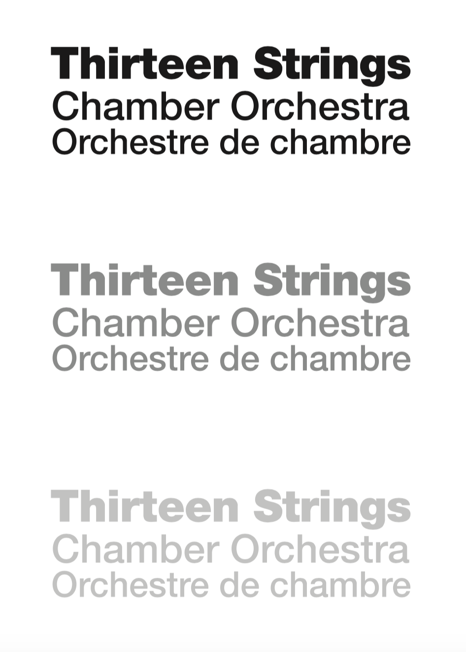 THIRTEEN STRINGS CHAMBER ORCHESTRA logo