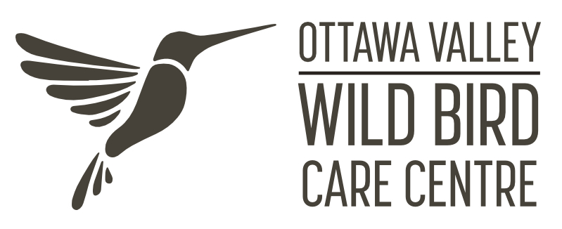 OTTAWA VALLEY WILD BIRD CARE CENTRE logo