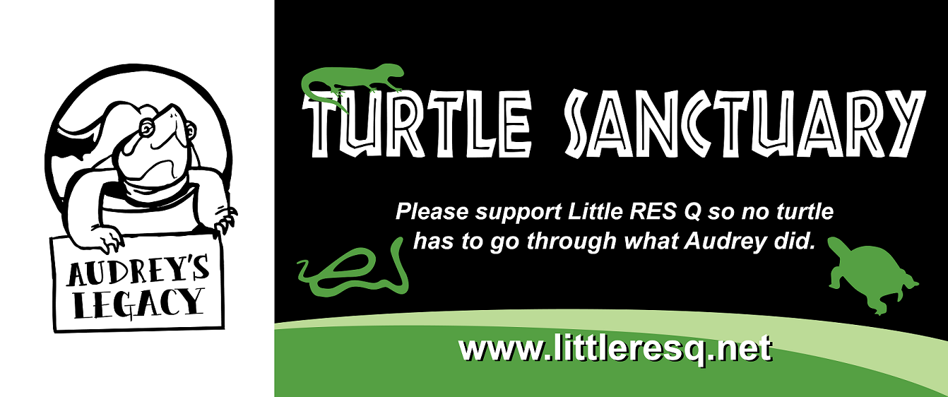 Little RES Q logo