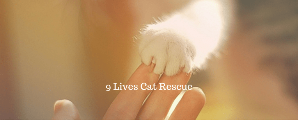 9-Lives Cat Rescue logo