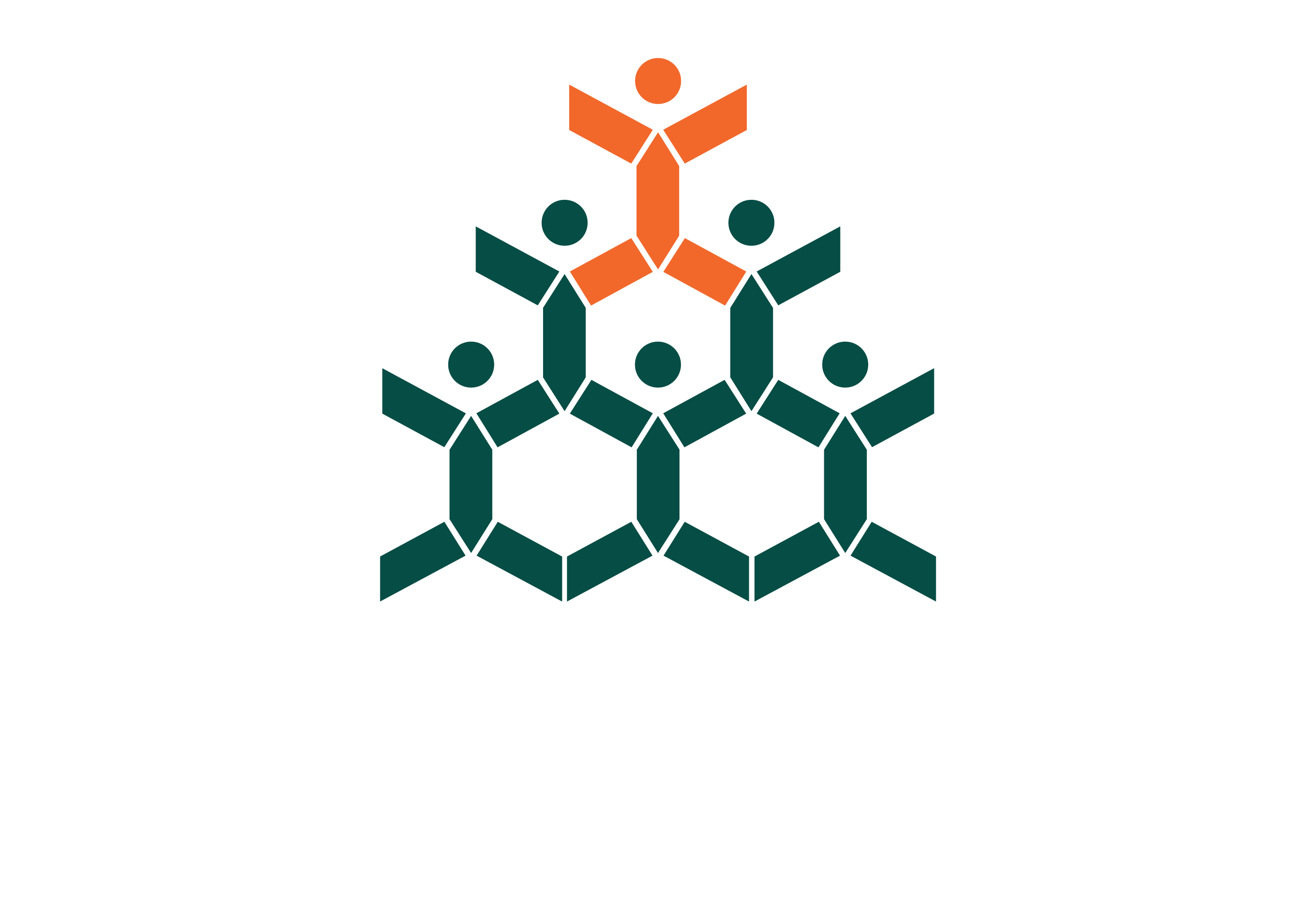 Social Development Centre Waterloo Region logo