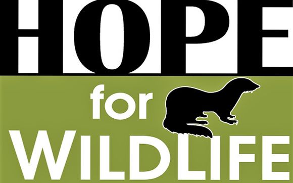 Hope for Wildlife logo