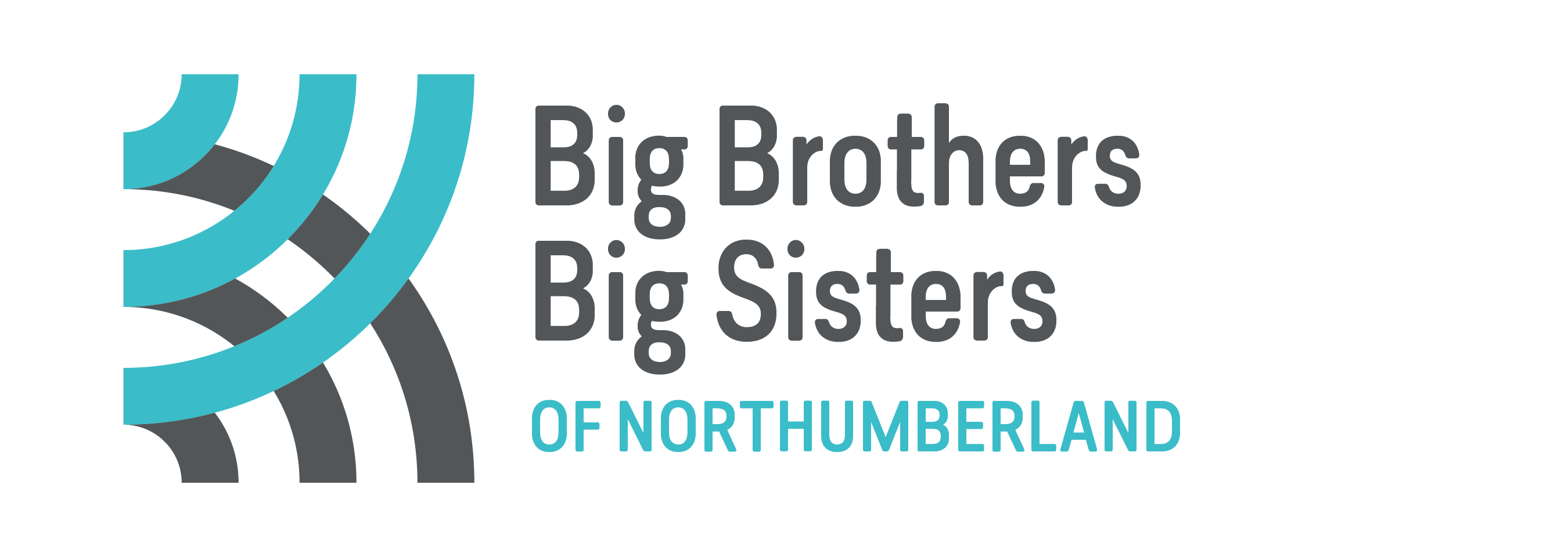 Big Brothers Big Sisters of South-West Durham and Northumberland logo