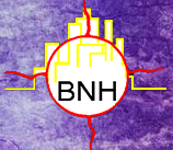 Brantford Native Housing logo