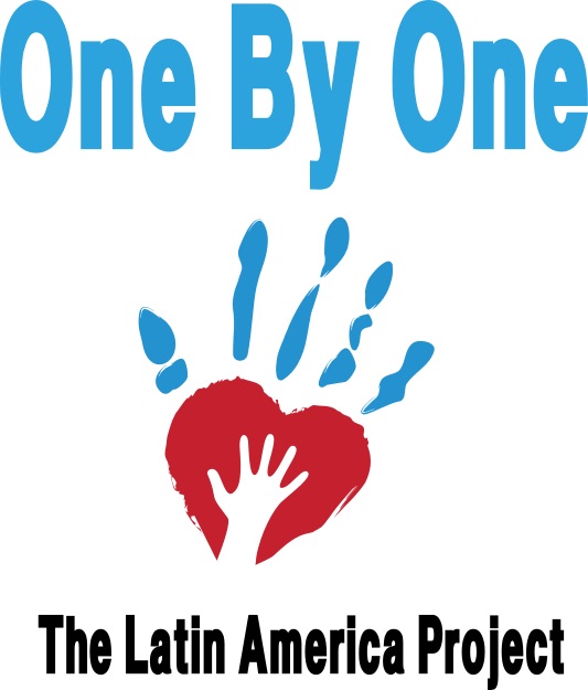 One by One: The Latin America Project logo