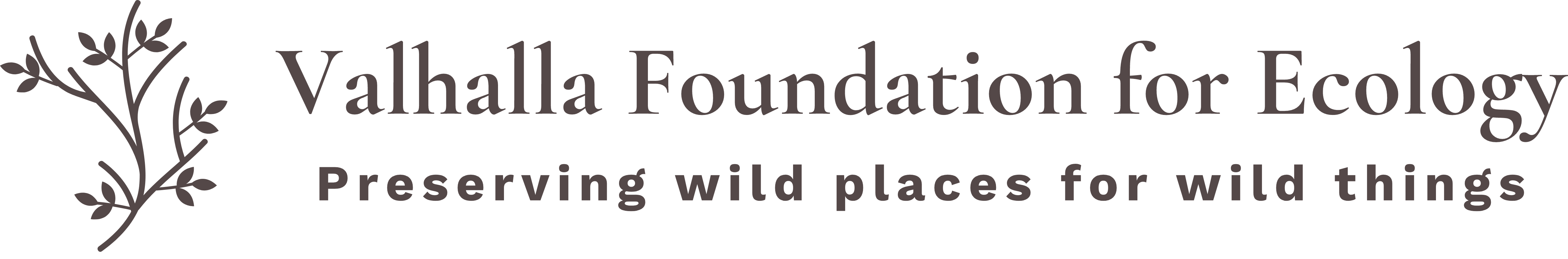 Valhalla Foundation for Ecology logo