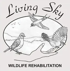 Living Sky Wildlife Rehabilitation logo