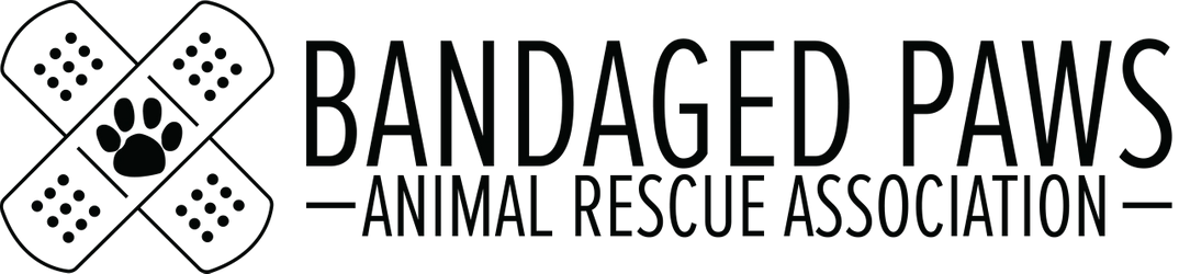 Bandaged Paws Animal Rescue Association logo