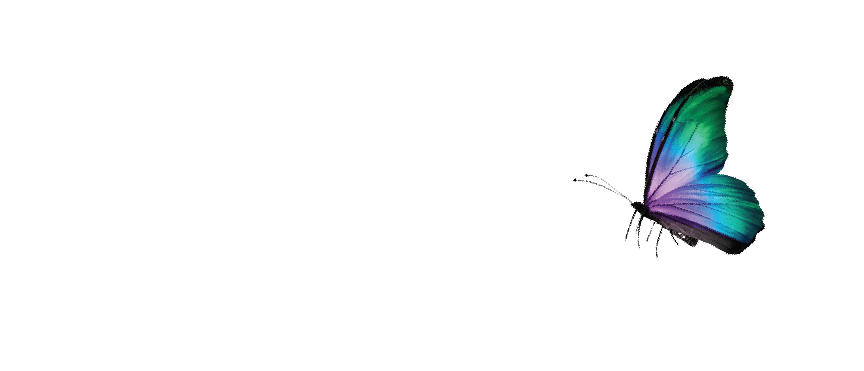 Desert Valley Hospice Society logo