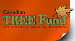 Canadian TREE Fund logo