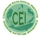 Cochrane Ecological Institute logo