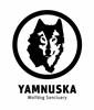 Yamnuska Wolfdog Sanctuary logo