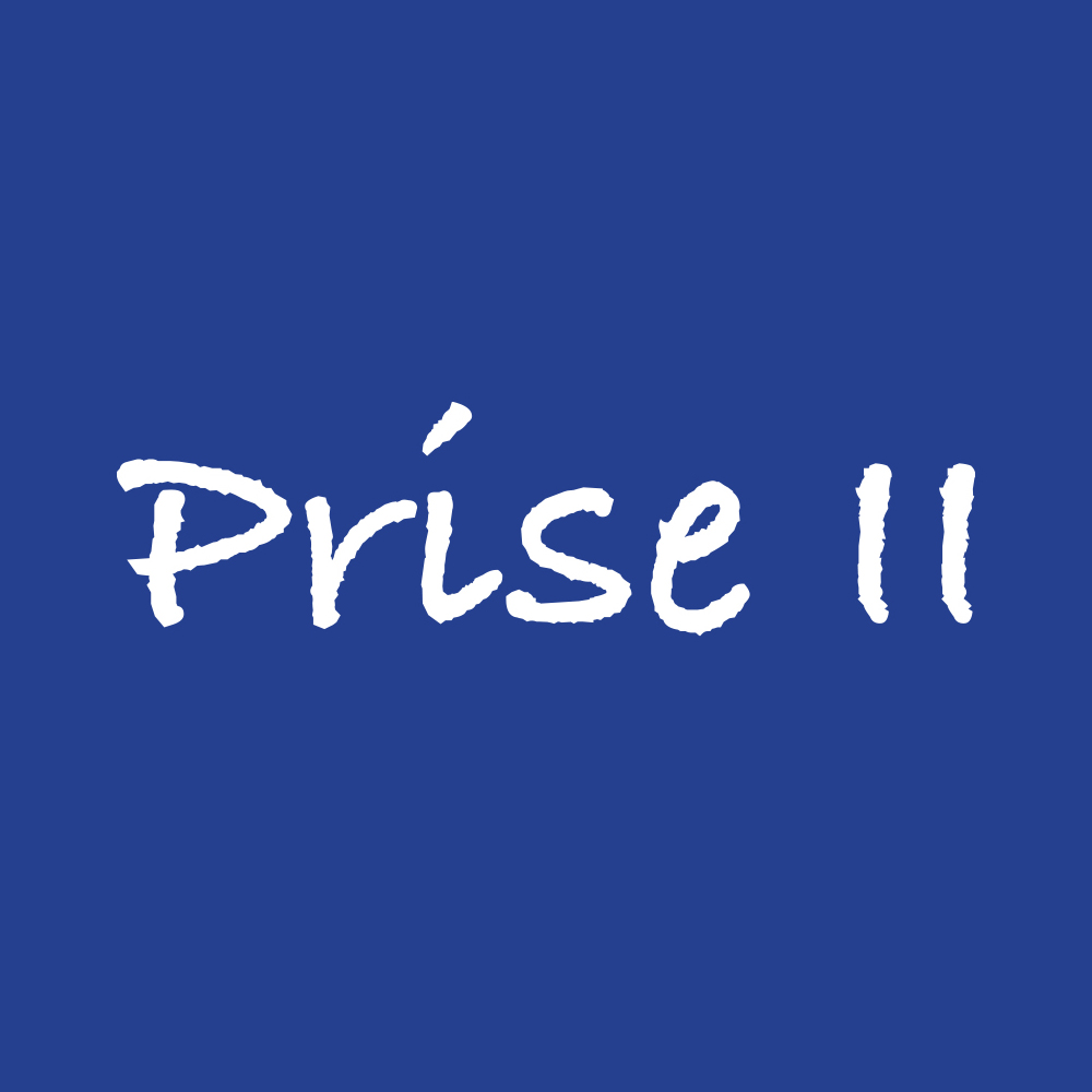 Prise II, ressource alternative en santé mentale logo