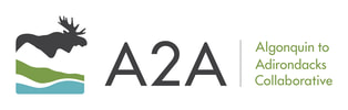 A2A Collaborative logo