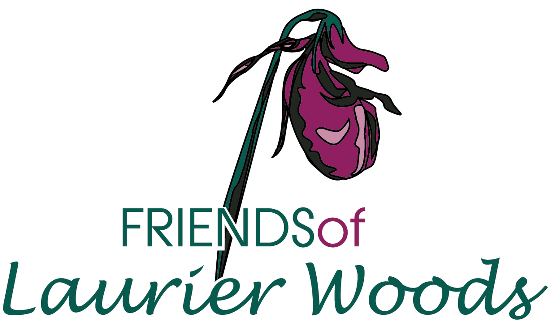 FRIENDS OF LAURIER WOODS logo