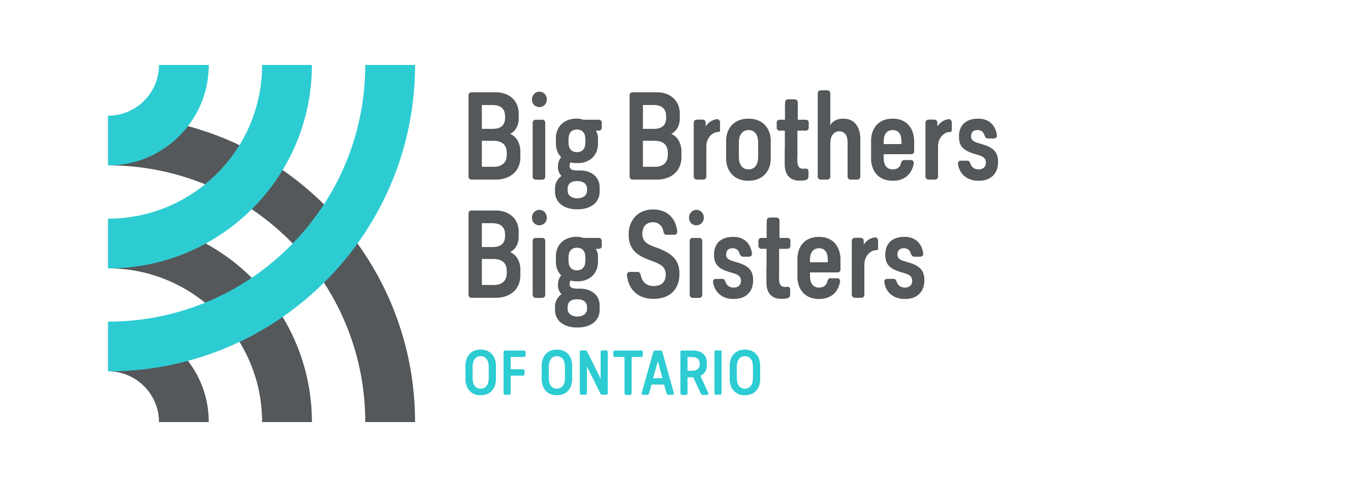 BIG BROTHERS BIG SISTERS OF ORILLIA & DISTRICT logo